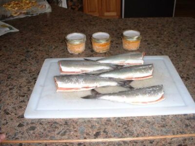 Living Off Grid – Mountain Salmon Image